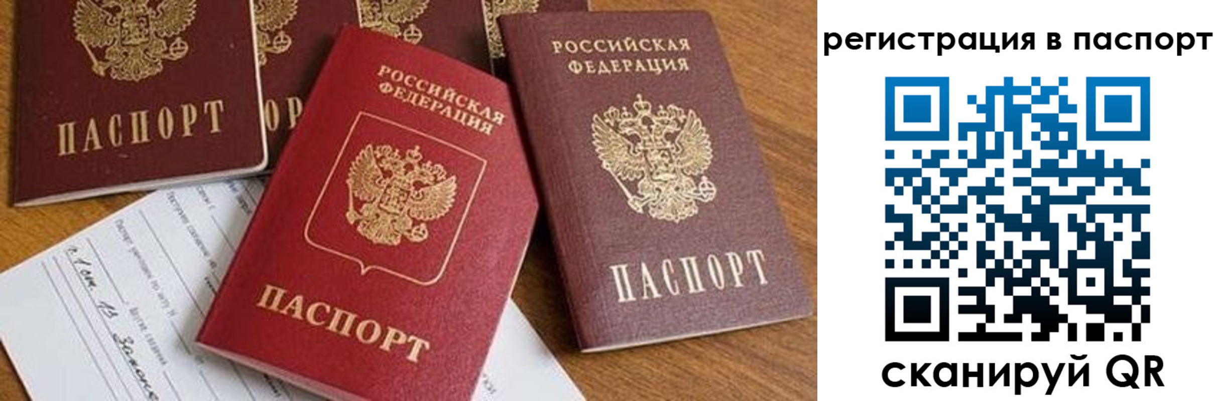 прописка в Грязовце